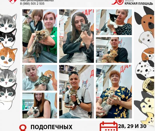Спешим поделиться итогами выставки в Мегацентре 